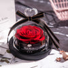 Presidential Dried Flower