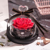 Presidential Dried Flower